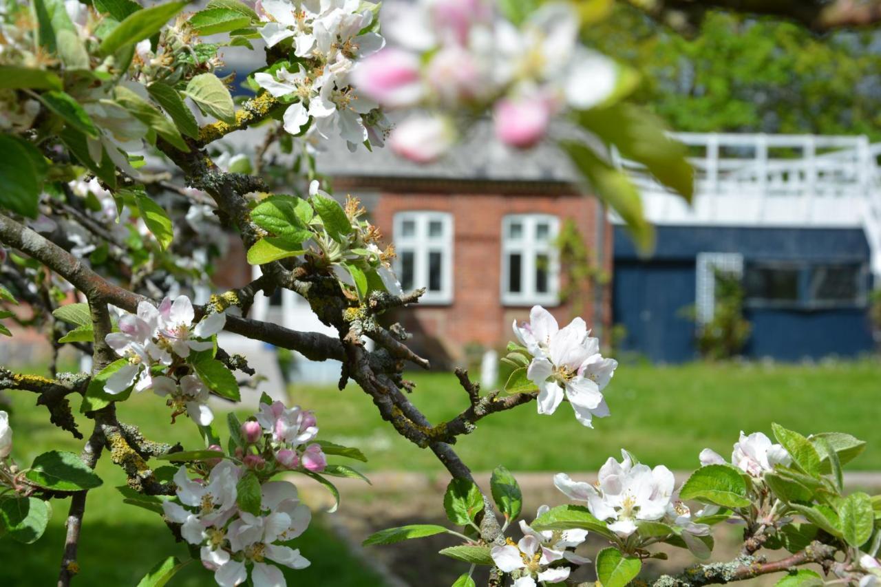 Kirkely Bed And Breakfast Vester Ulslev Exterior foto