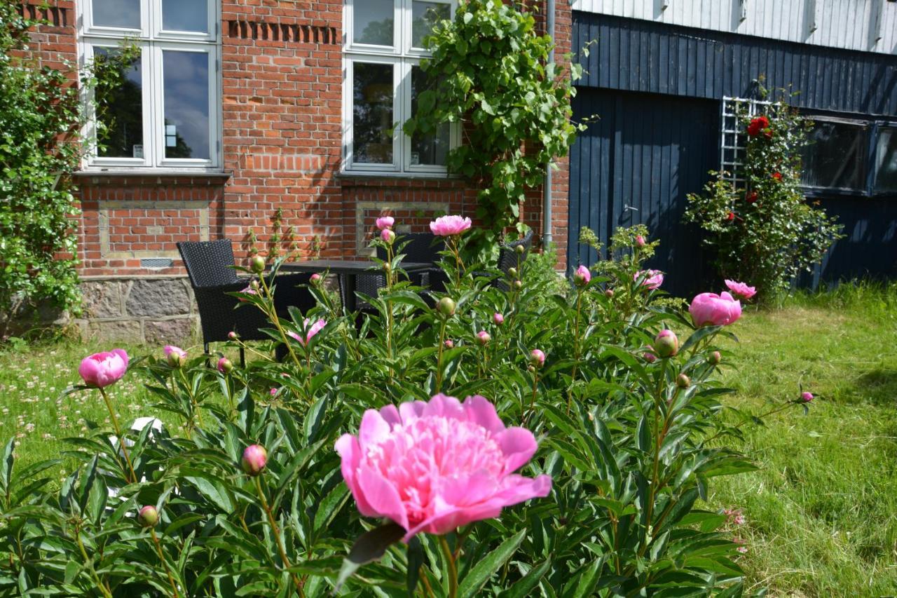 Kirkely Bed And Breakfast Vester Ulslev Exterior foto